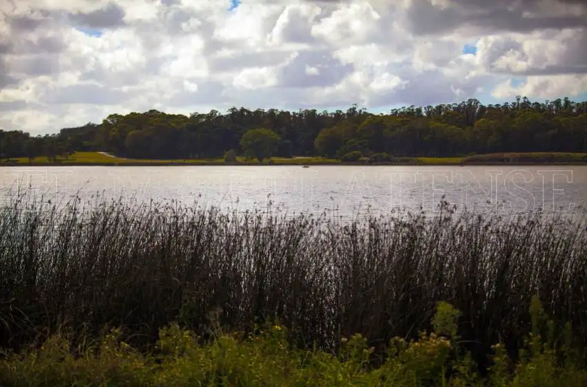 Arroyo defendió la obra de Zoonosis en la Laguna: "Será vanguardista en el país"