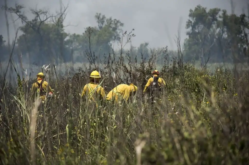 Se trabaja para elaborar un protocolo de acción para prevenir los incendios. Foto: Gentileza.