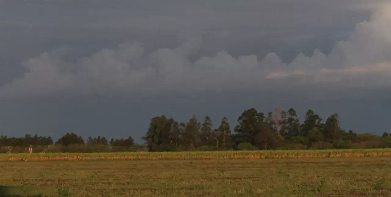 Pronósticos alentadores: anuncian lluvias para este miércoles en Venado y la región