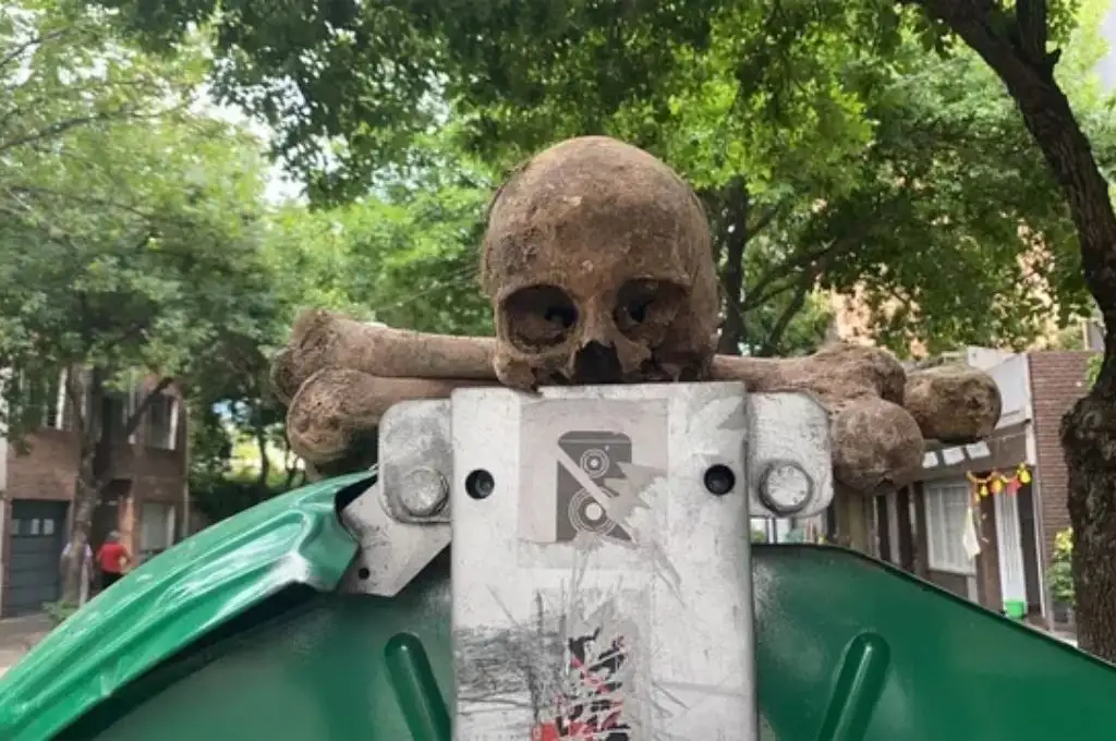 Macabro hallazgo en Rosario: hallan restos humanos sobre un contenedor