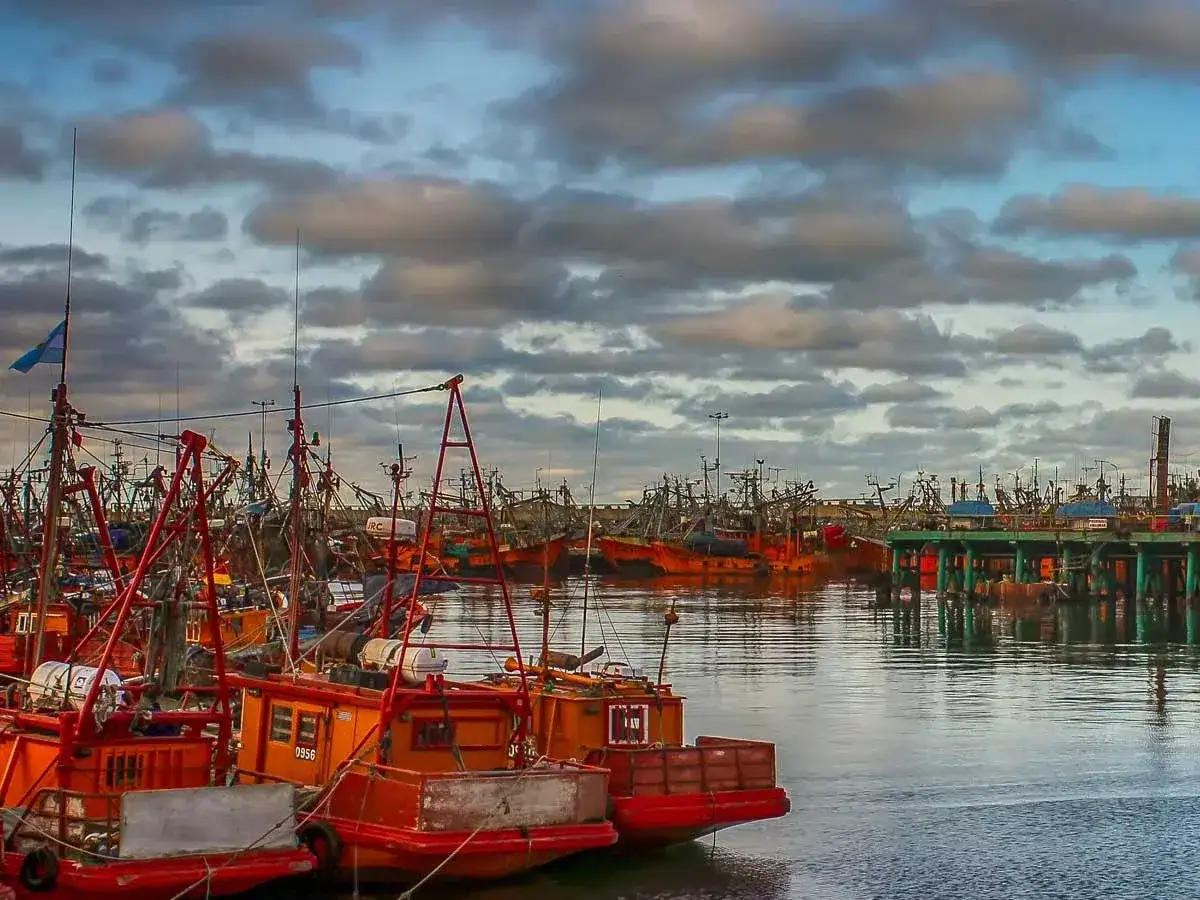 La actualización de la Unidad Pesca impacta directamente en el valor de las multas previstas para las infracciones al Régimen Federal de Pesca.