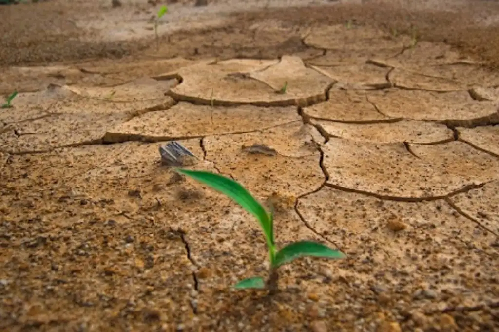 La ONU donó 2 millones de dólares a San Luis para combatir el cambio climático
