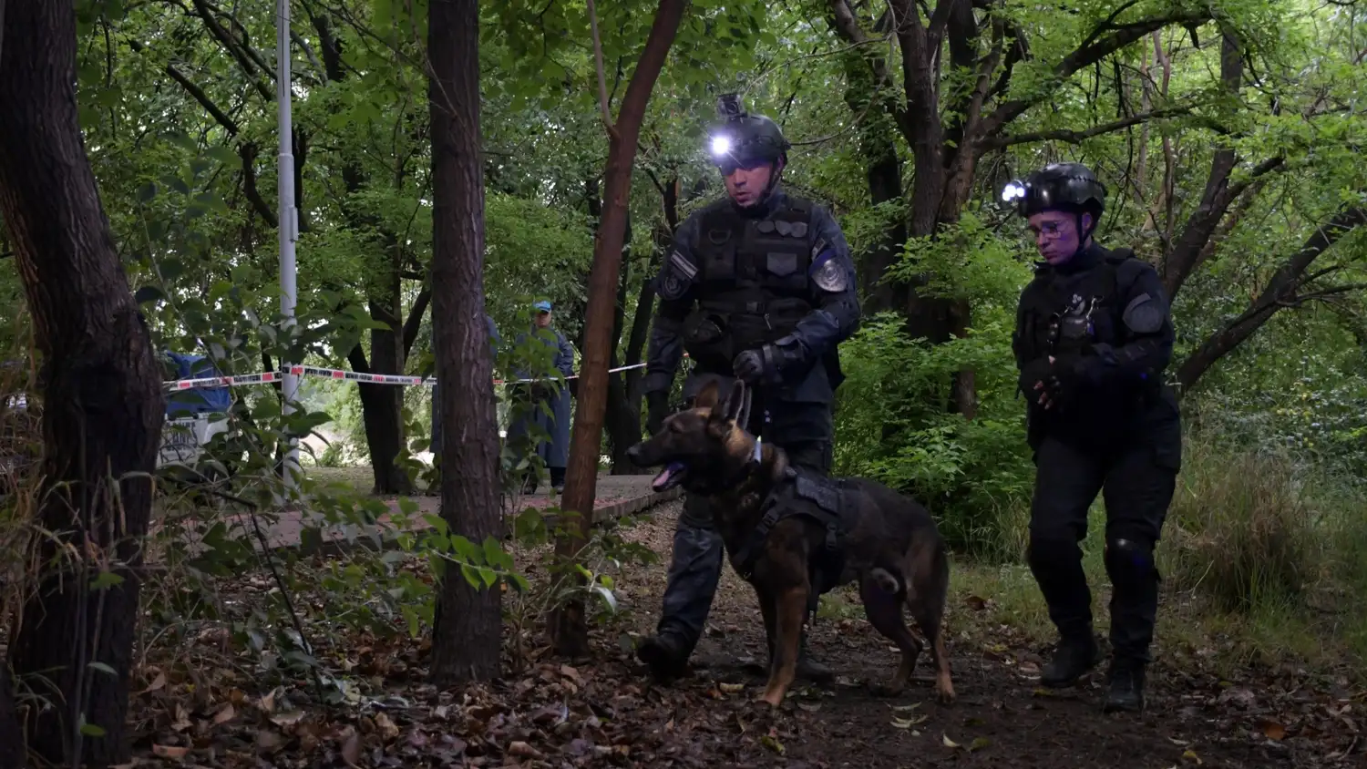 Perros entrenados de la División Canes de la Policía de Córdoba.