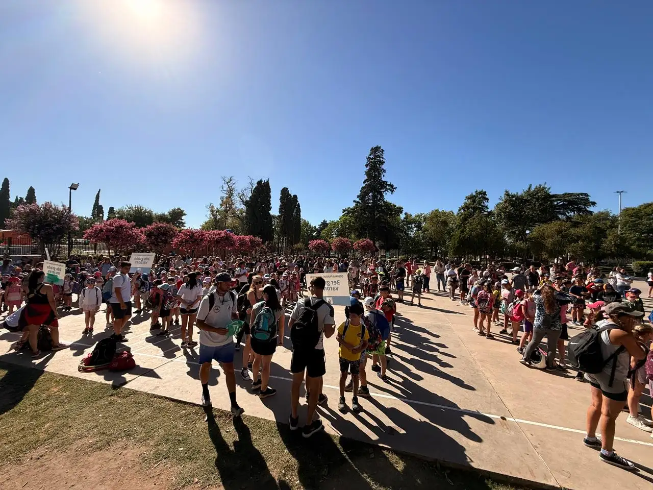 Gran cantidad de niños participarán de la colonia.
