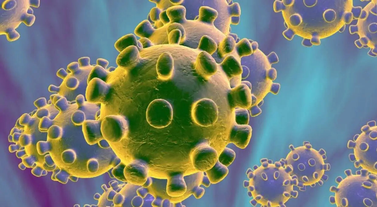 Confirmaron el primer caso de coronavirus en EEUU