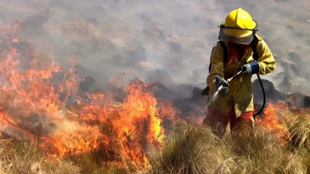 Incendios forestales en Corrientes: son catorce los focos ígneos en la provincia, 10 de ellos permanecen activo