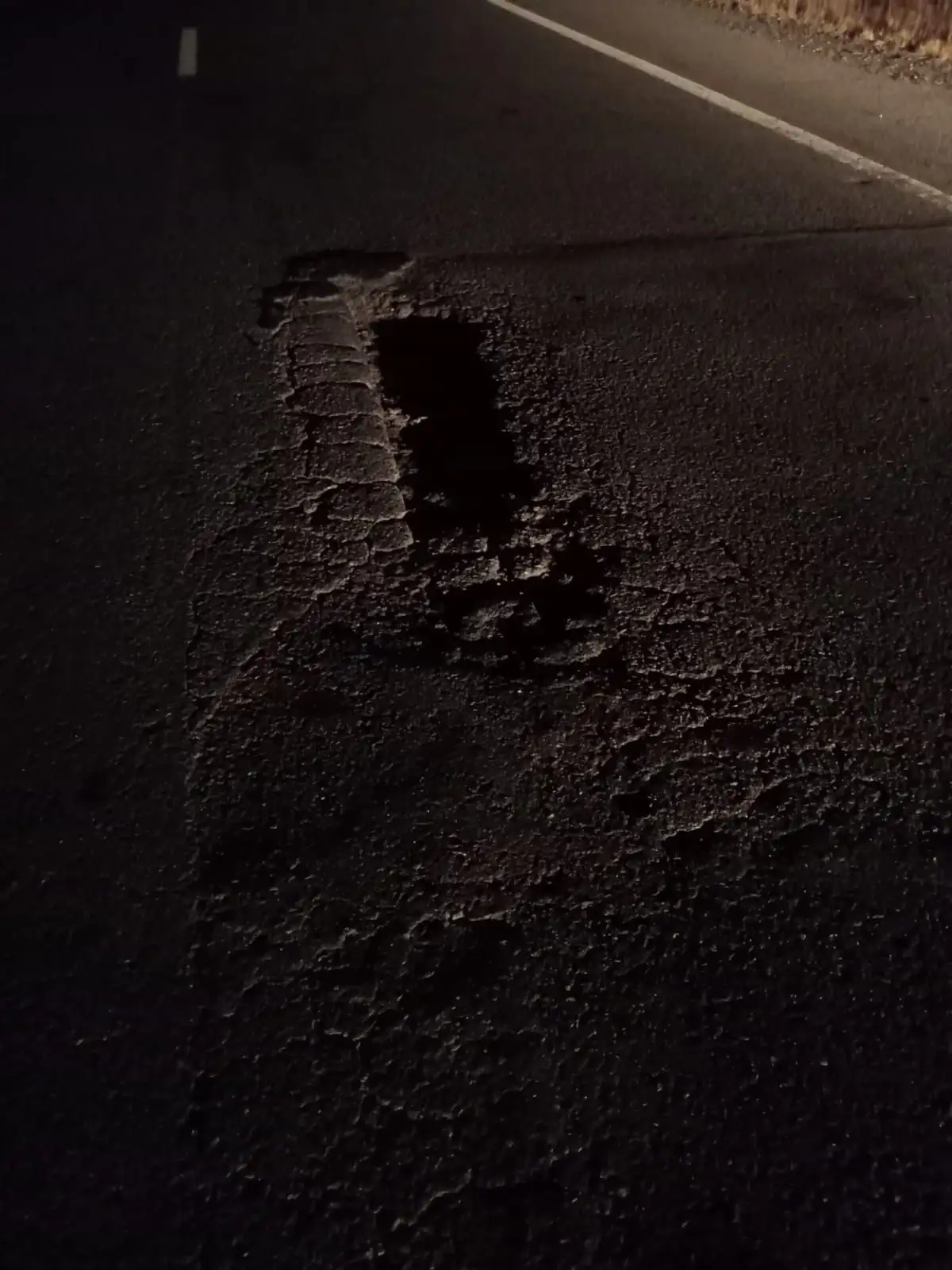 bache