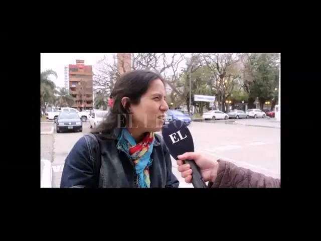 Proponen un plan municipal de gestión ética de población de palomas