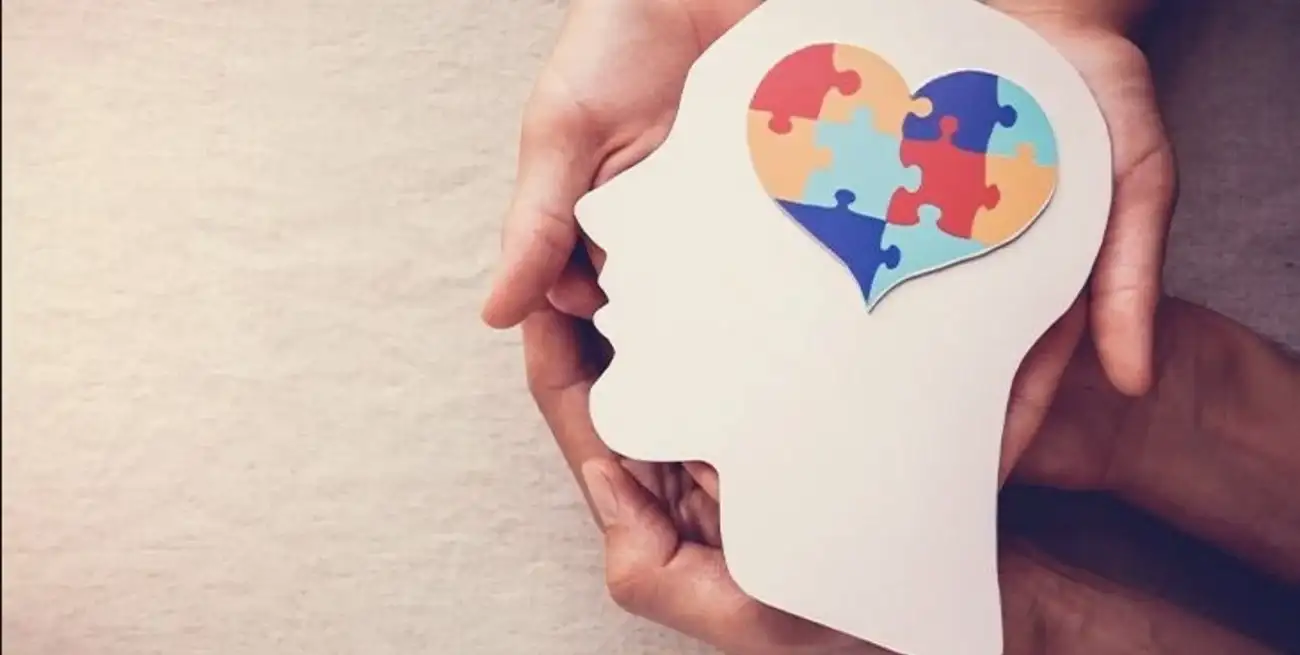 Cambios polémicos en La ley Nacional de Salud Mental. Foto: Ilustración