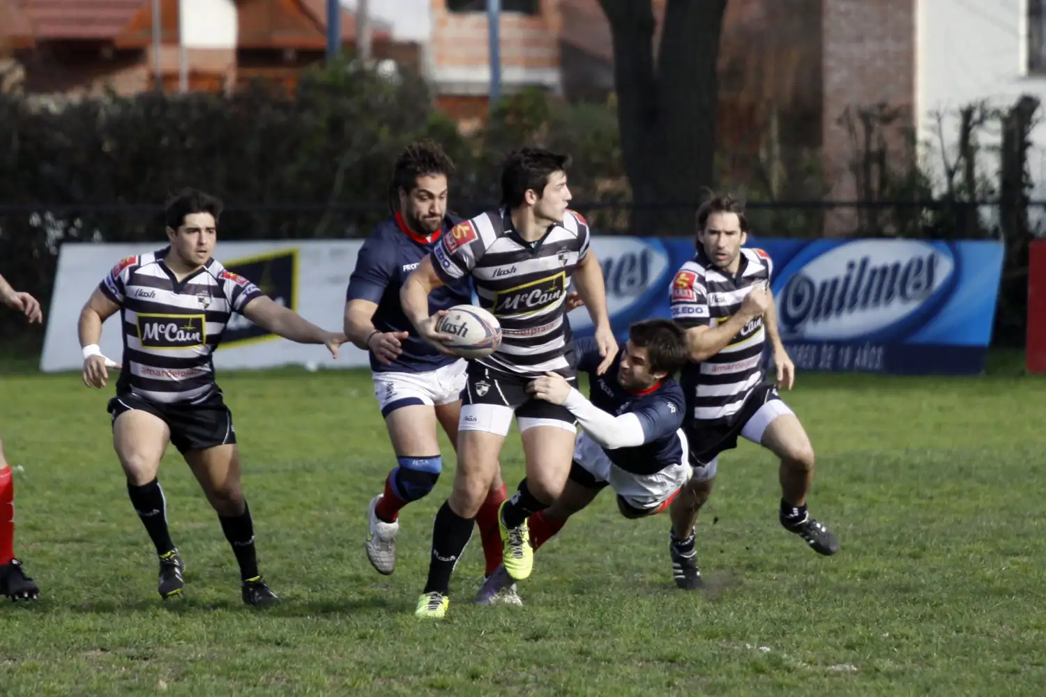 Pumitas locales en Rosario