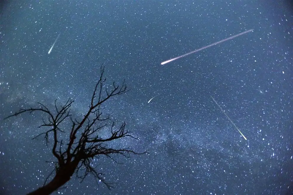 Entre el 17 y viernes 18 de noviembre los amantes de los eventos astronómicos podrán deleitarse de la lluvia de estrellas (NAT GEO).