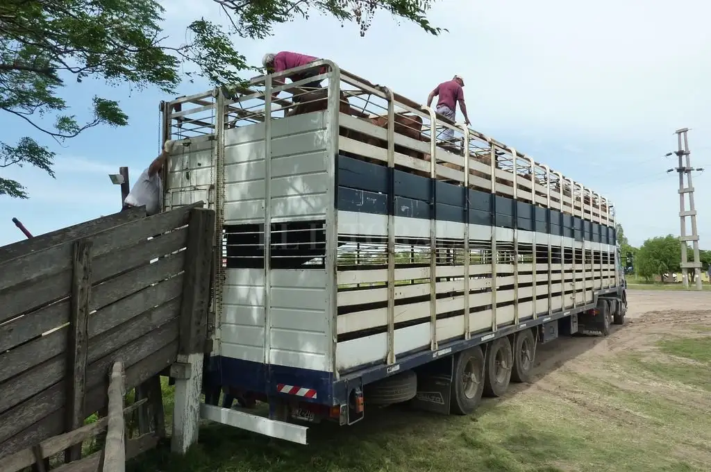Ya rige la nueva normativa para el transporte de hacienda en Santa Fe