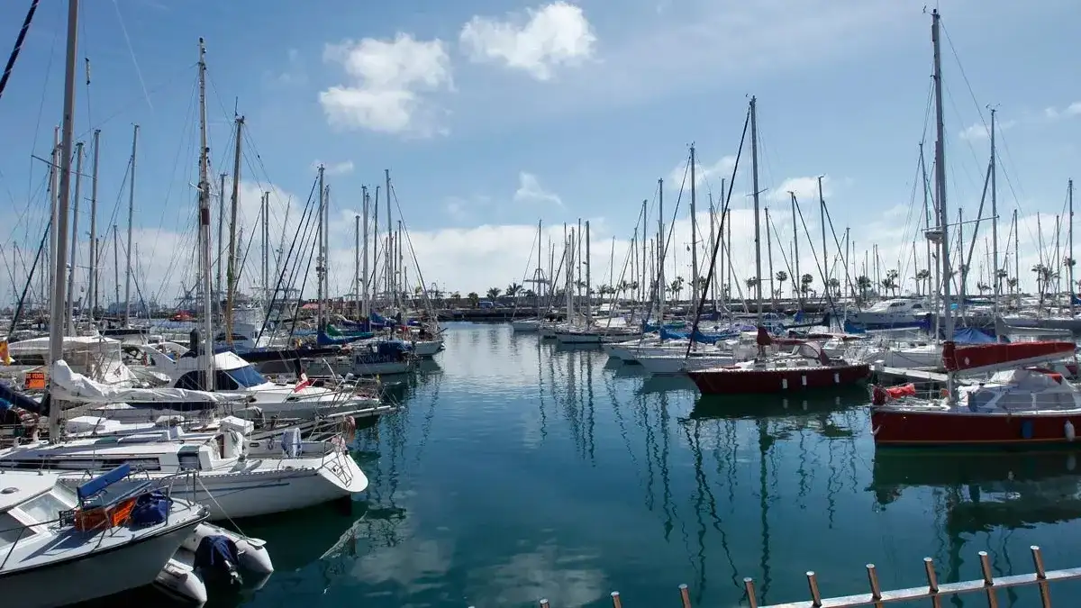 Mar del Plata, capital del deporte náutico: “Operamos como un puerto de recepción de veleros extranjeros”