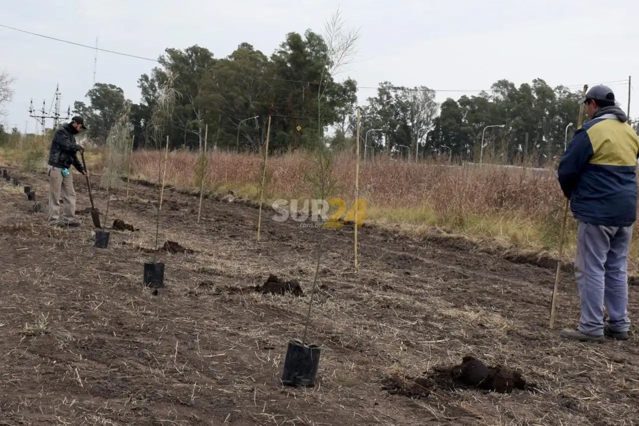 Rufino: buscan llegar a los 10 mil árboles plantados