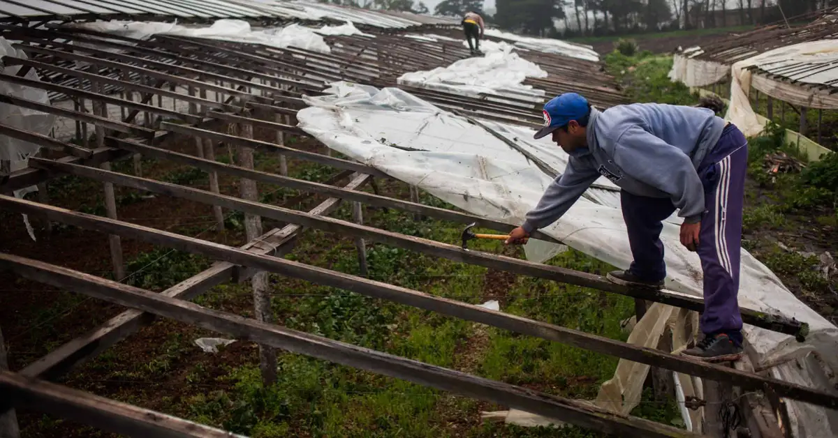 "Tenemos en cuenta los pedidos de emergencia para el sector frutihortícola"