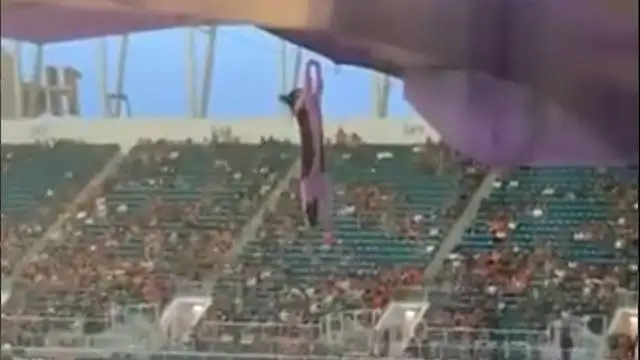 Todo un estadio estuvo pendiente de un gatito