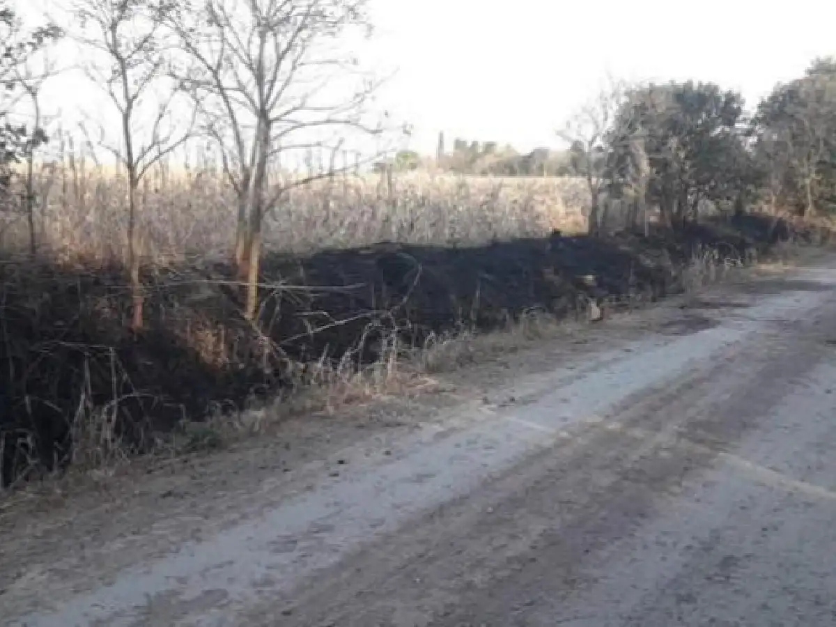Incendio de banquina a pocos metros del cementerio de Devoto