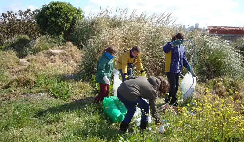 La reserva natural del Puerto se suma a la campaña "A limpiar el mundo"