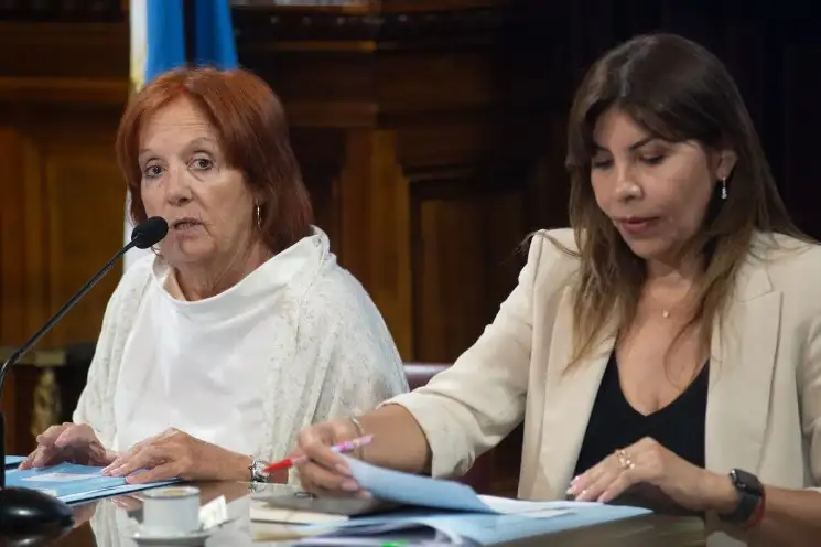 La senadora del peronismo disidente y flamante titular de la comisión de Asuntos Constitucionales de la Cámara alta, Alejandra Vigo.
