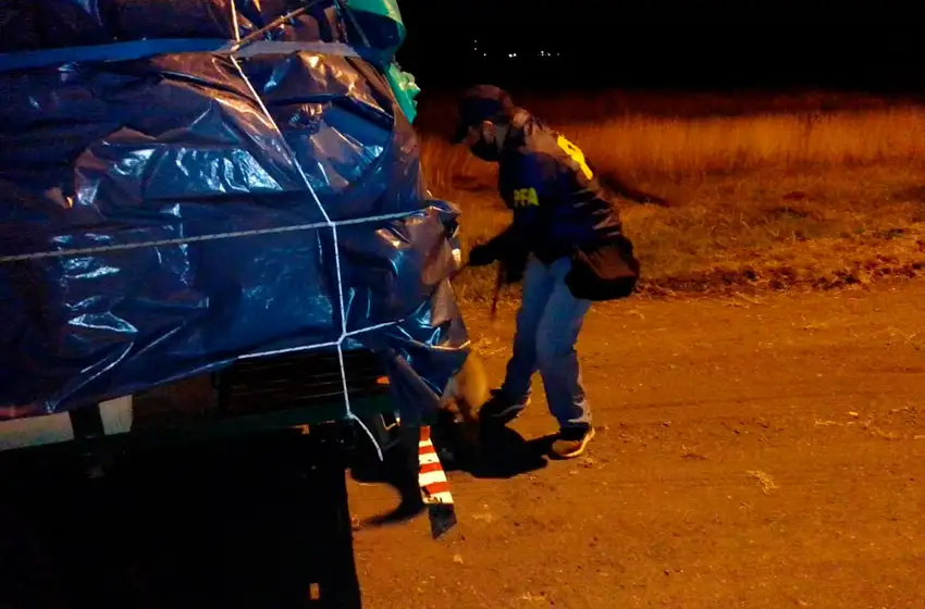 Verano Seguro, también en el acceso a Azul