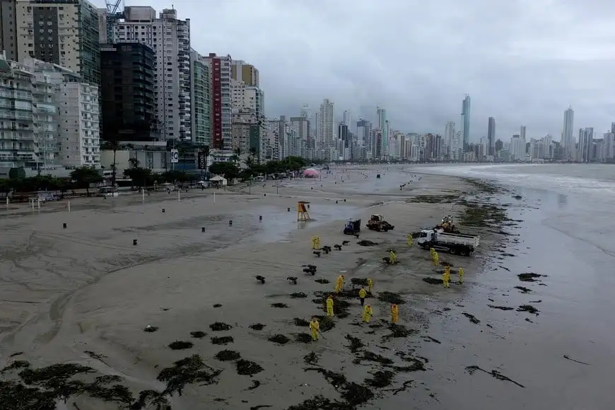 Temporal en Brasil