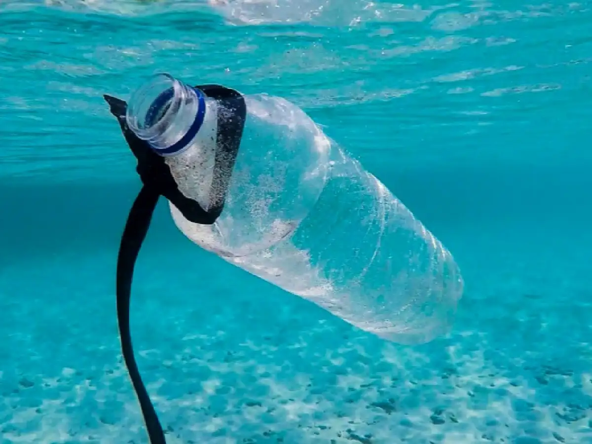 Basura plástica: de las 300 millones de toneladas que se producen cada año solo el 10% es reciclada