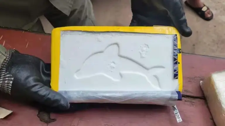 Un nuevo ladrillo con el sello del delfín fue secuestrado en La Plata.