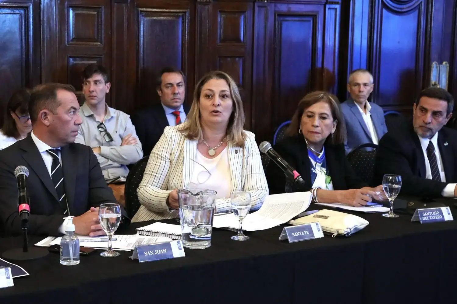 Silvia Ciancio, ministra de Salud de Santa Fe. Foto: Gobierno de Santa fe