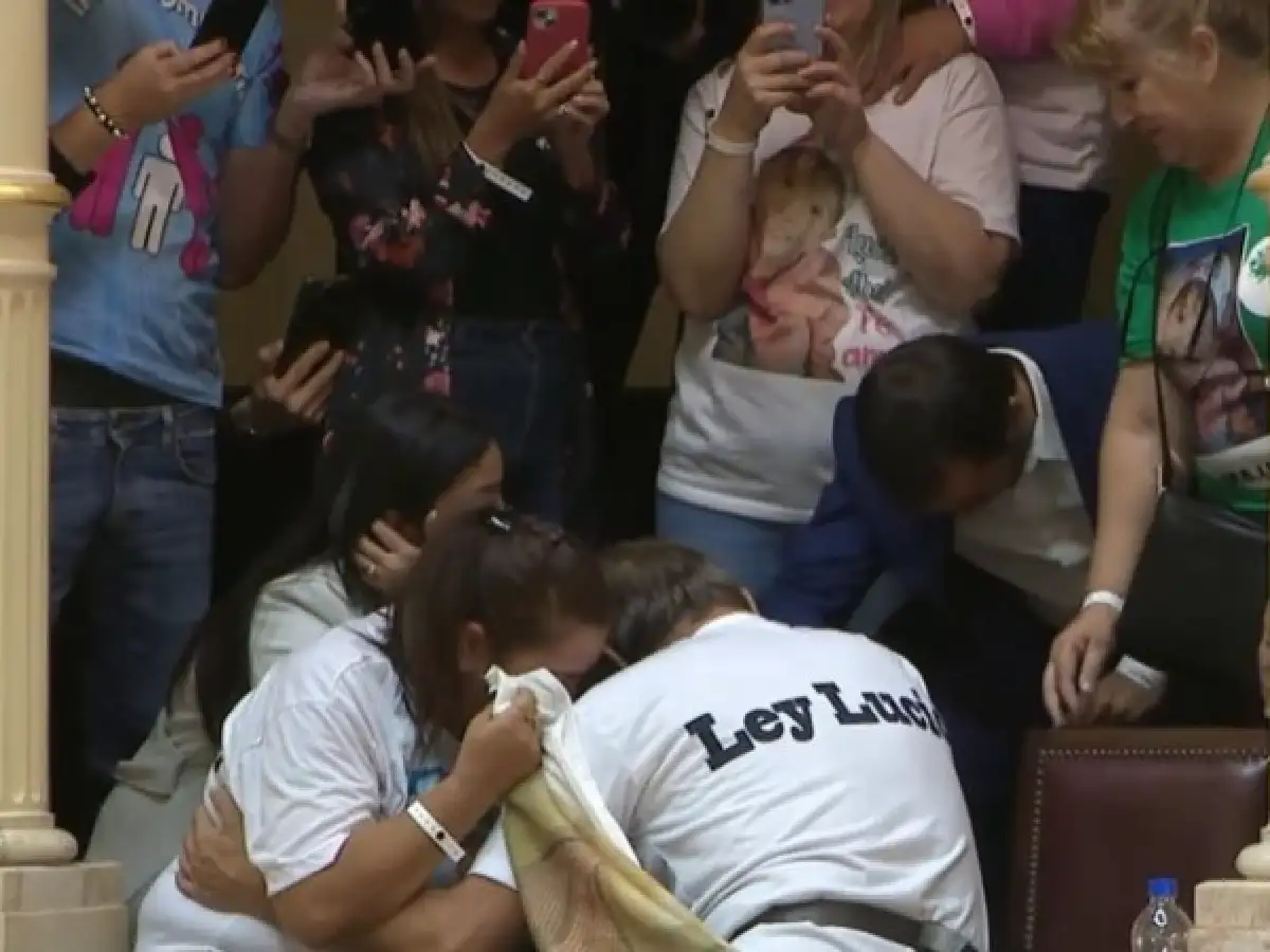 El Senado aprobó por unanimidad la "Ley Lucio"