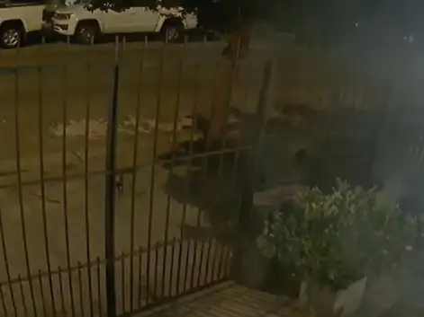 Violento robo a una vivienda: cinco encapuchados golpearon a una pareja y huyeron tras activarse la alarma