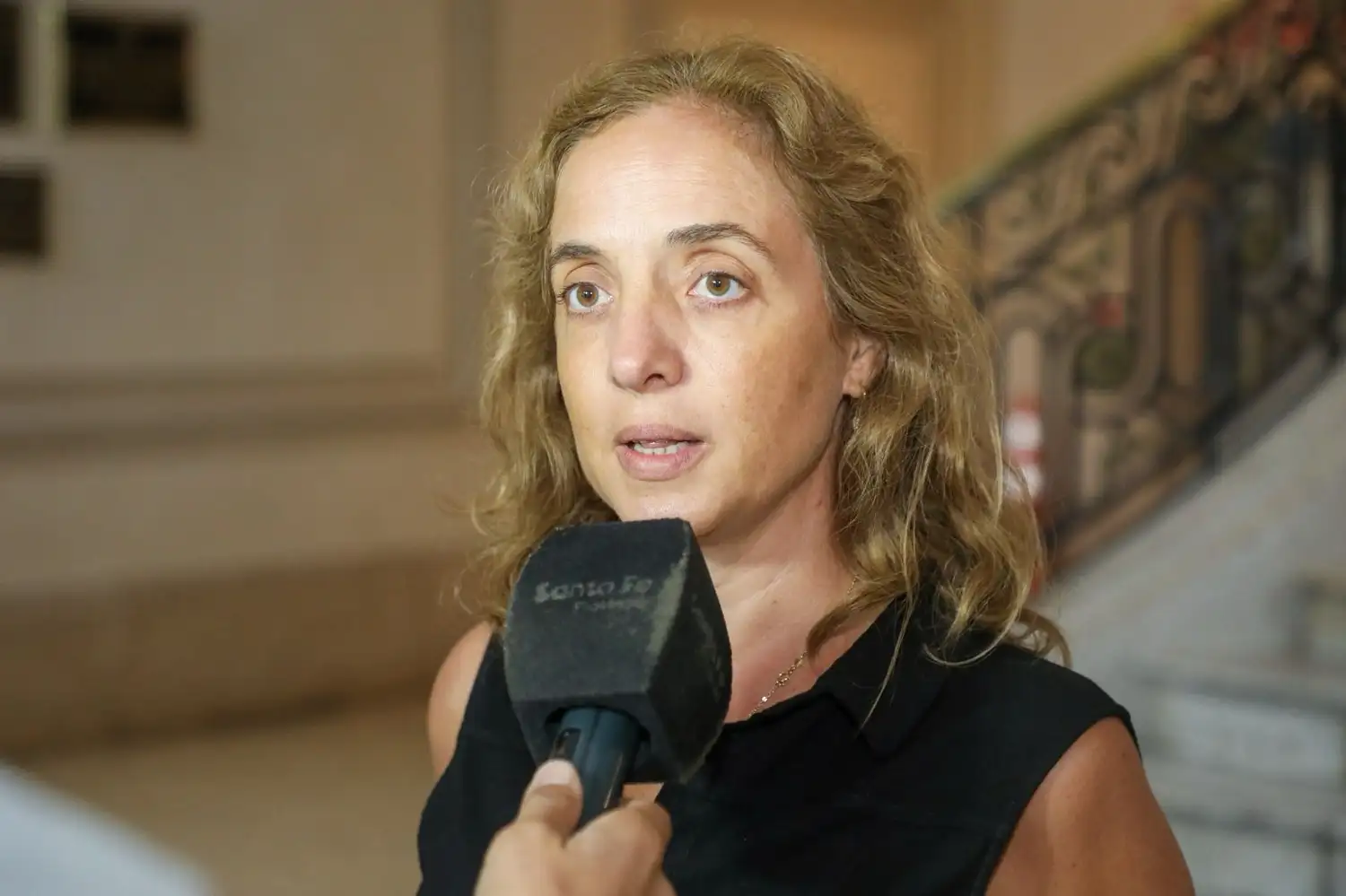 La directora provincial de Epidemiología, Carolina Cudós, fue la encargada de informar los datos oficiales.