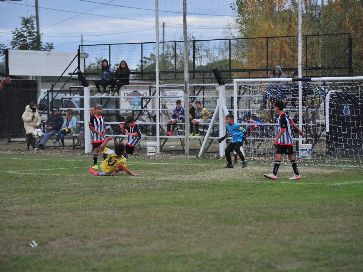 Siguió el Apertura