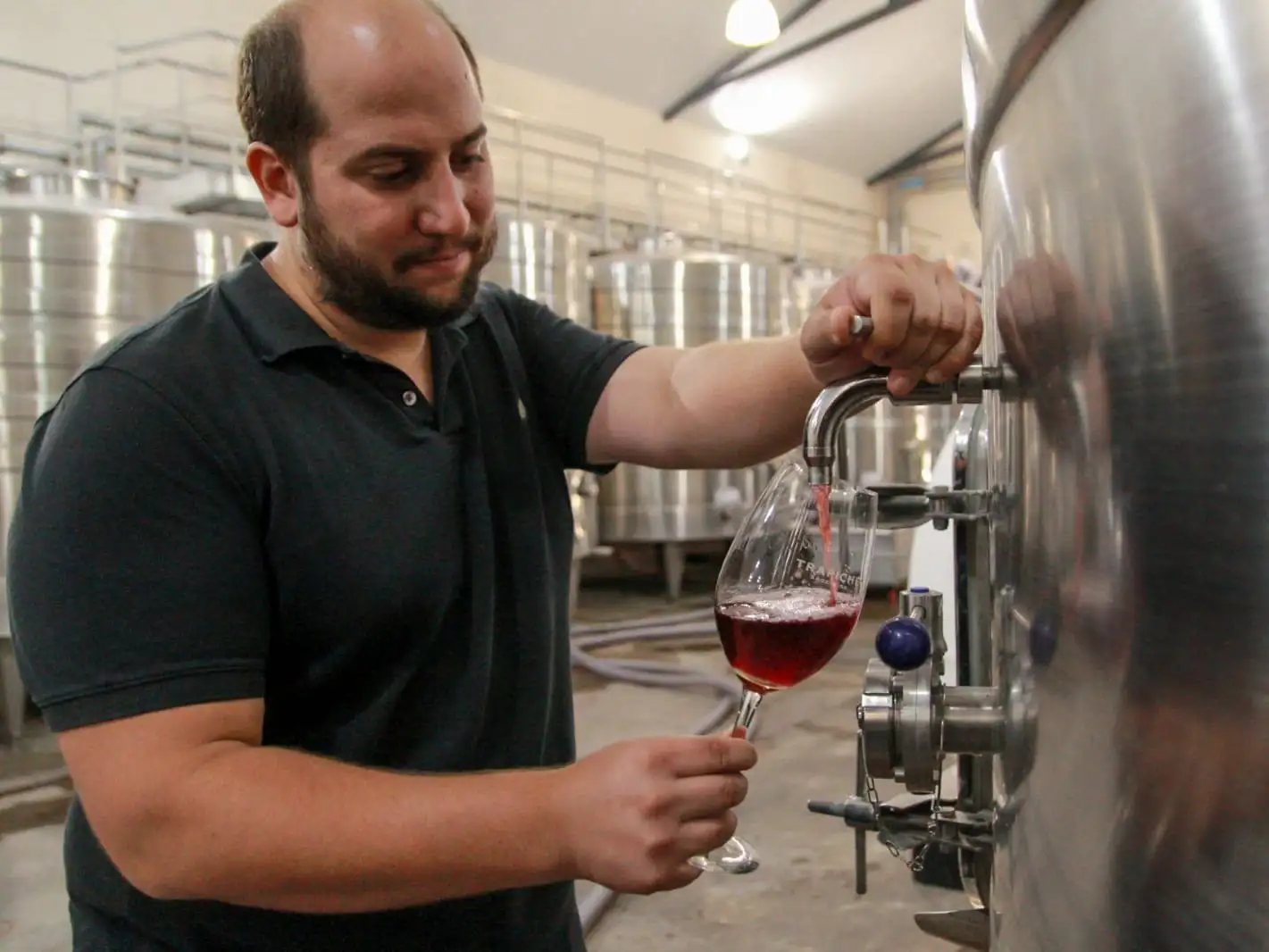 "No solo calidad en los vinos, sino calidad de vida para los que estamos todo el día en las viñas", indicaron.