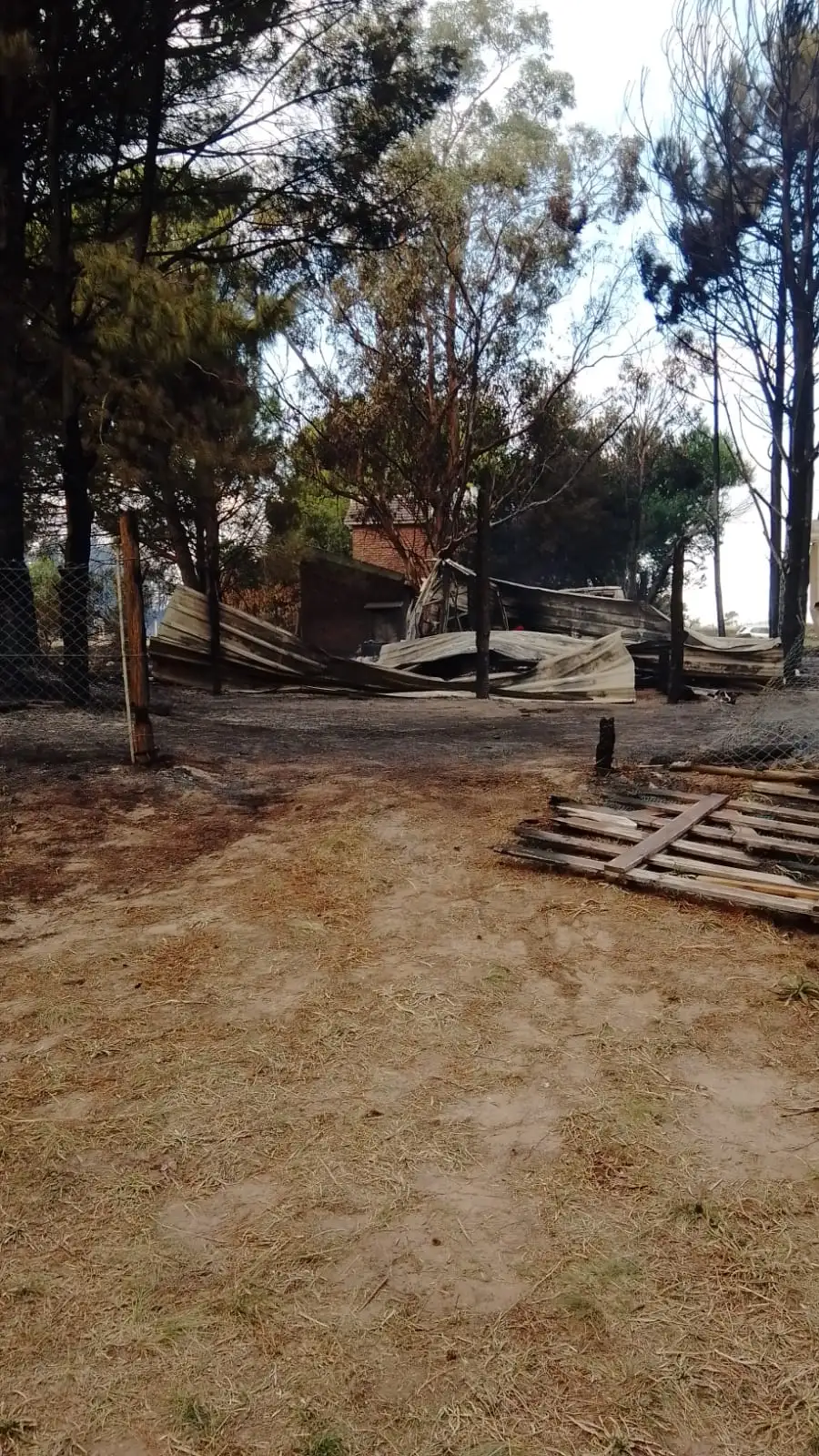Quien desee ayudar a Murguet, puede hacerlo o con materiales de construcción o con dinero para comprarlos.