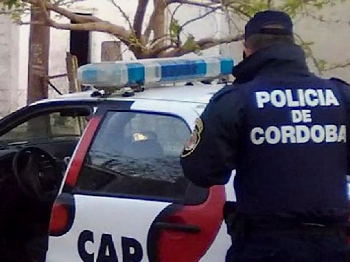 Robaron 58 lechones  y 16 corderos en un  campo de Las Varas 
