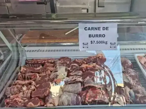 carne de burro - 1