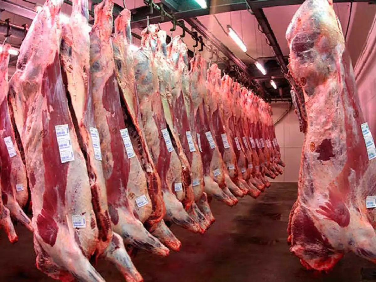 Para Schiariti: "La carne no es cara, los salarios son muy baratos" 