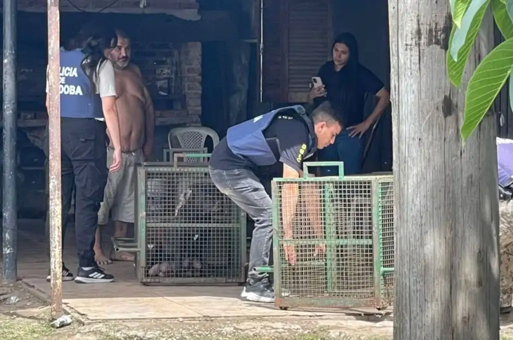 La Policía retiró los perros en jaulas del lugar