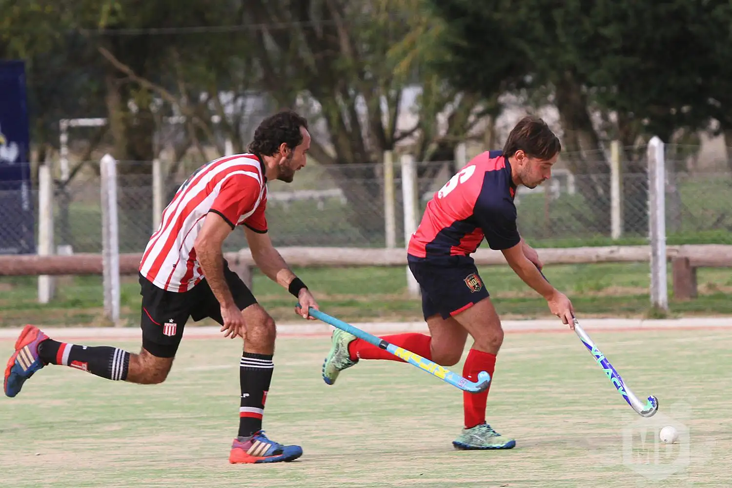 Cierra la semana en GEBA