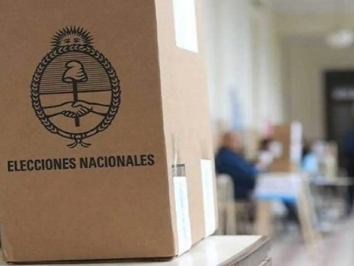 Estudio: el 84% de los encuestados sintió "vergüenza ajena" por los spots de campaña de las PASO 