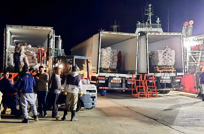 Advierten riesgos por la apertura anticipada de caladeros de calamar