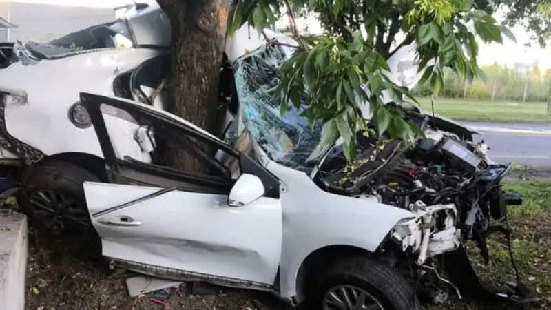 Tremendo: un auto perdió el control y se incrustó en un árbol