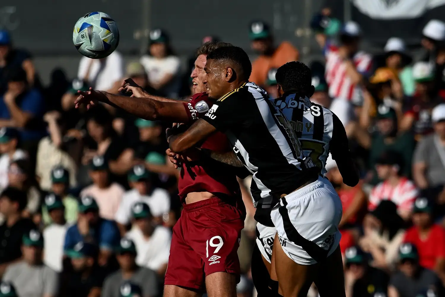 Rodrigo Castillo - 2