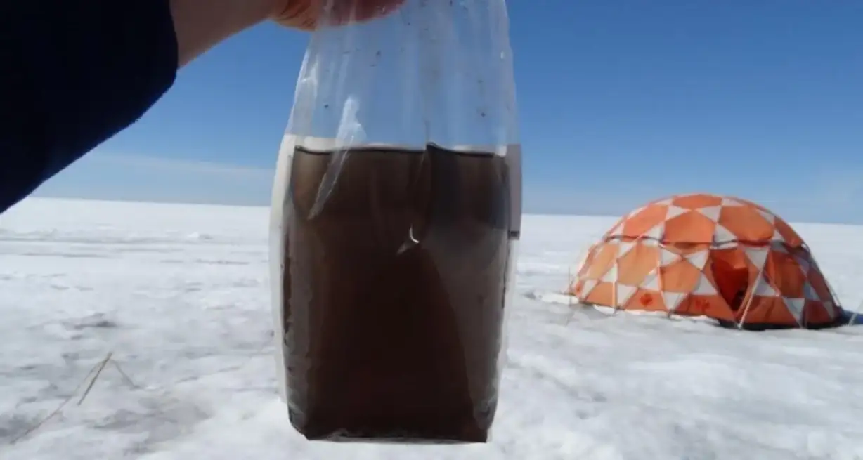 Una de las muestras, aparentemente agua sucia, está llena de virus gigantes y algas que oscurecen el hielo.