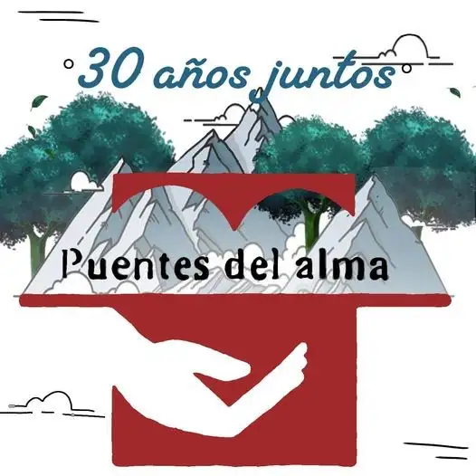 Puentes 30