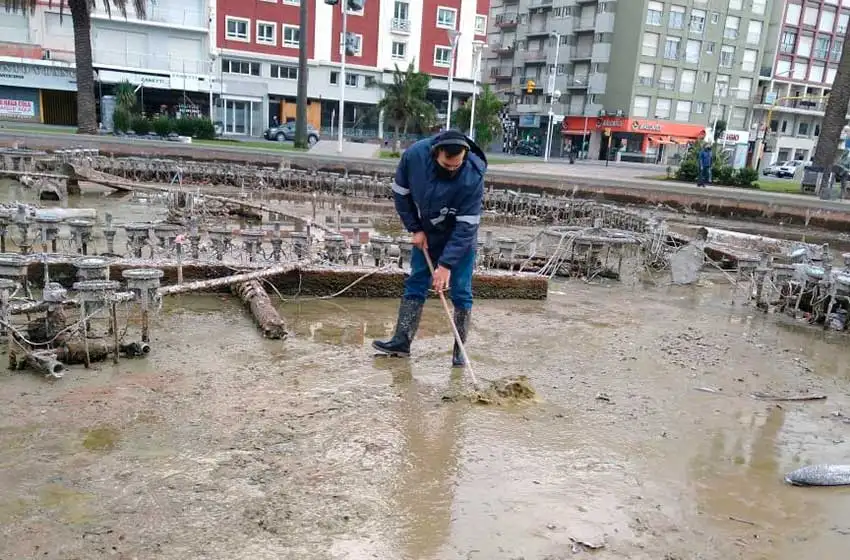 El Emsur intensificó los trabajos de limpieza en fuentes y microbasurales de Mar del Plata