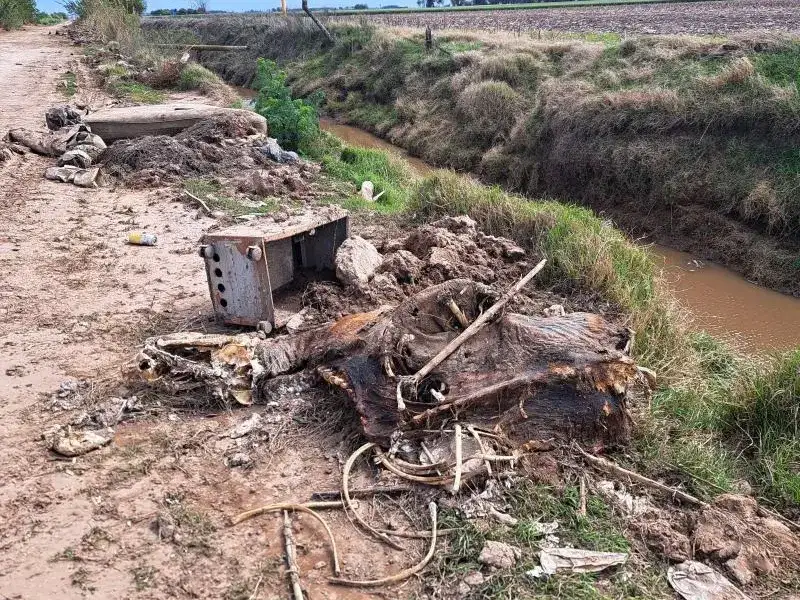 canales sucios2
