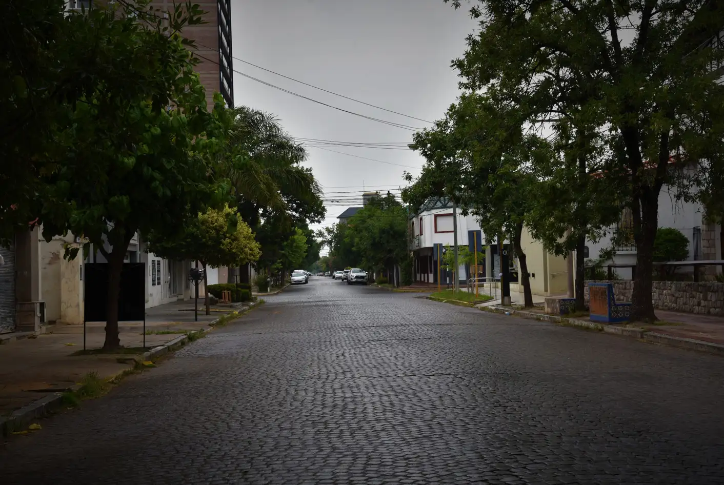 Jueves gris y frío en San Francisco: cómo seguirá el clima