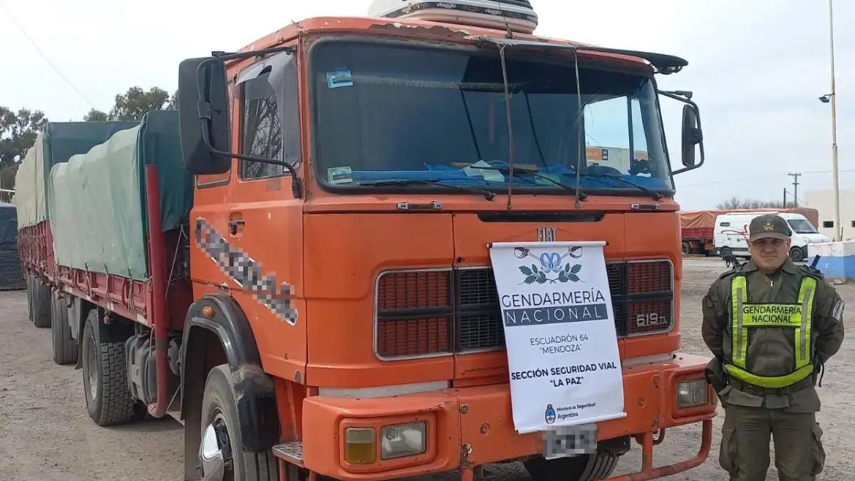 Interceptan un camión con 30 toneladas de maíz sin aval legal