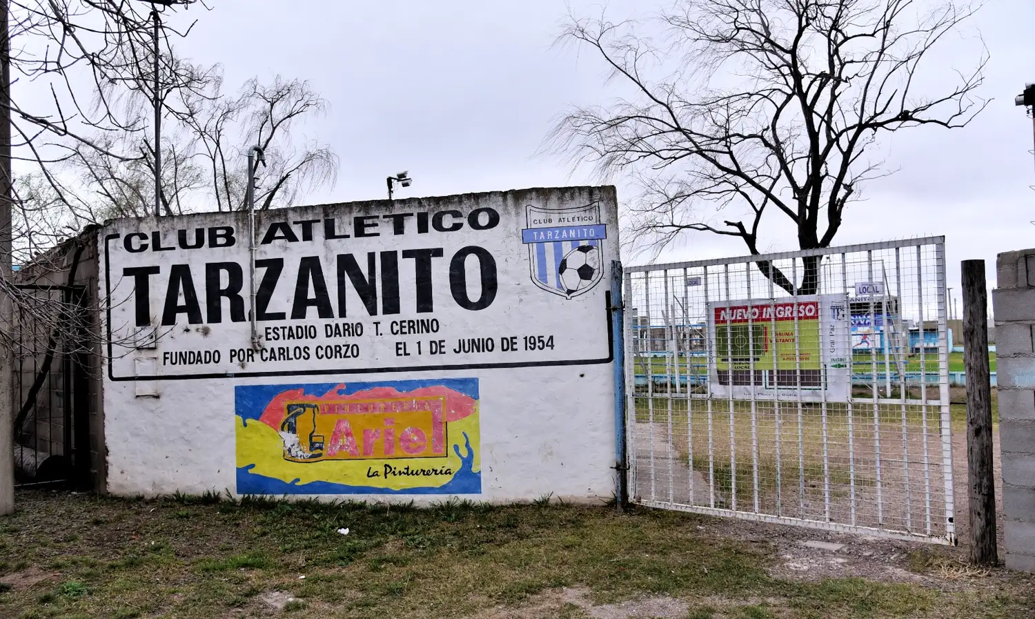 tarzanito